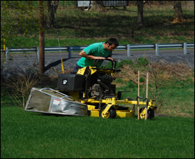 mowing
